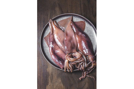 Raw squids on gray plate with, a Food & Drink Photo by LARISA BLINOVA