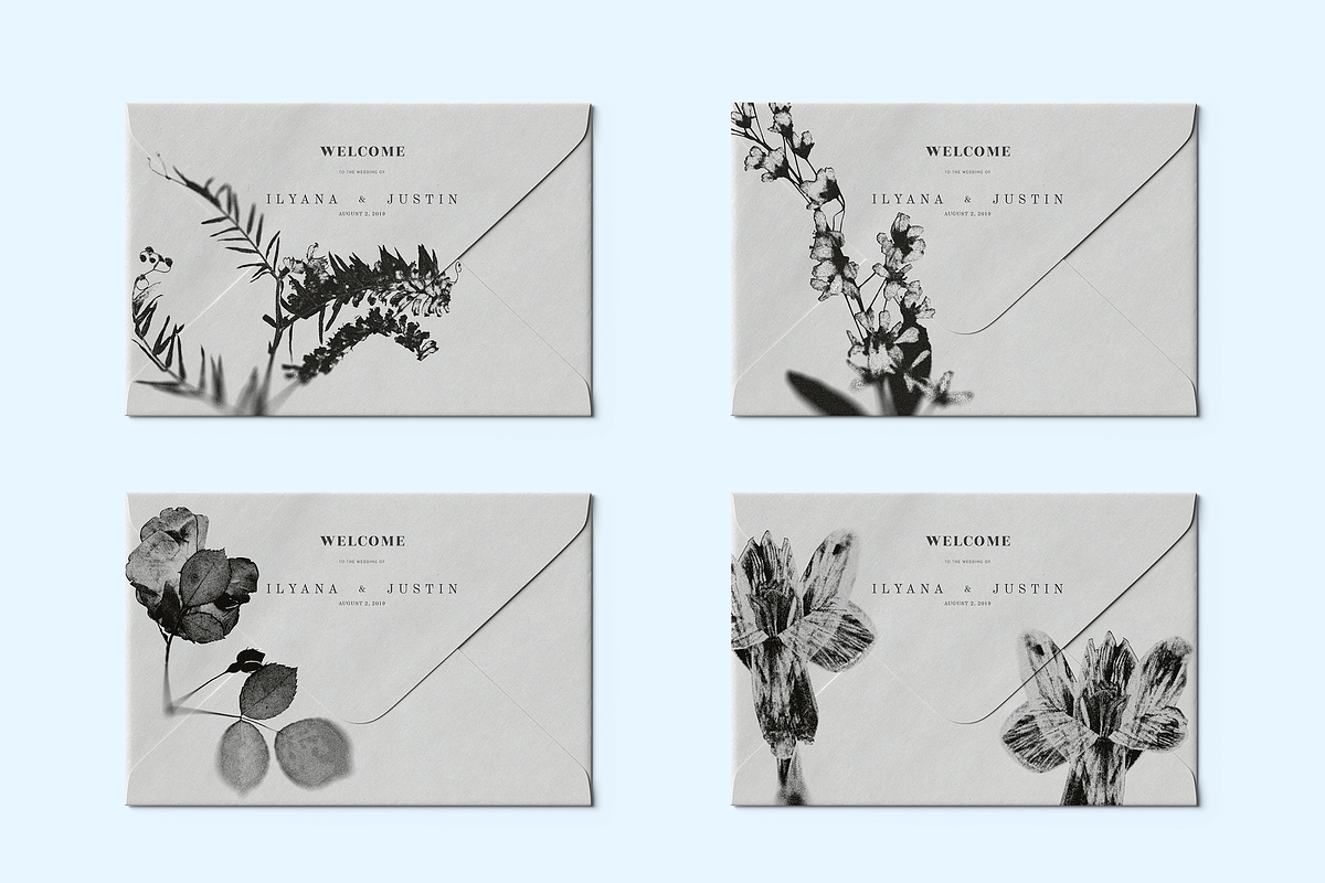 HERBARIA. Pressed Wildflower Scans, an Object Graphic by Schumacher Shop (Photo 3 of 21)