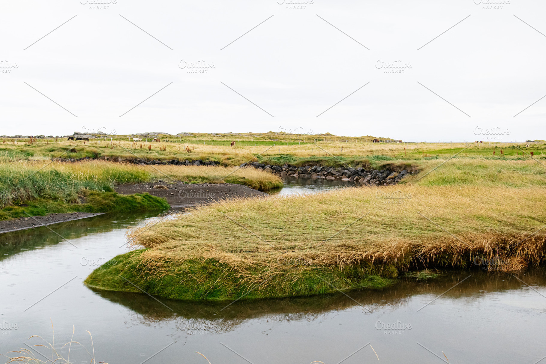 Scenic landscape of Icelandic plains with grass, water, and a serene atmosphere, a Nature Photo by AS photostudio
