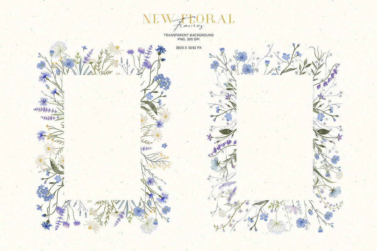 Wildflowers. Watercolor collection, an Illustration by annartdreams (Photo 14 of 14)