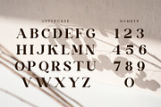 Vinaly Serif Font, a Serif Font by Idea Studio (Thumbnail 8 of 11)