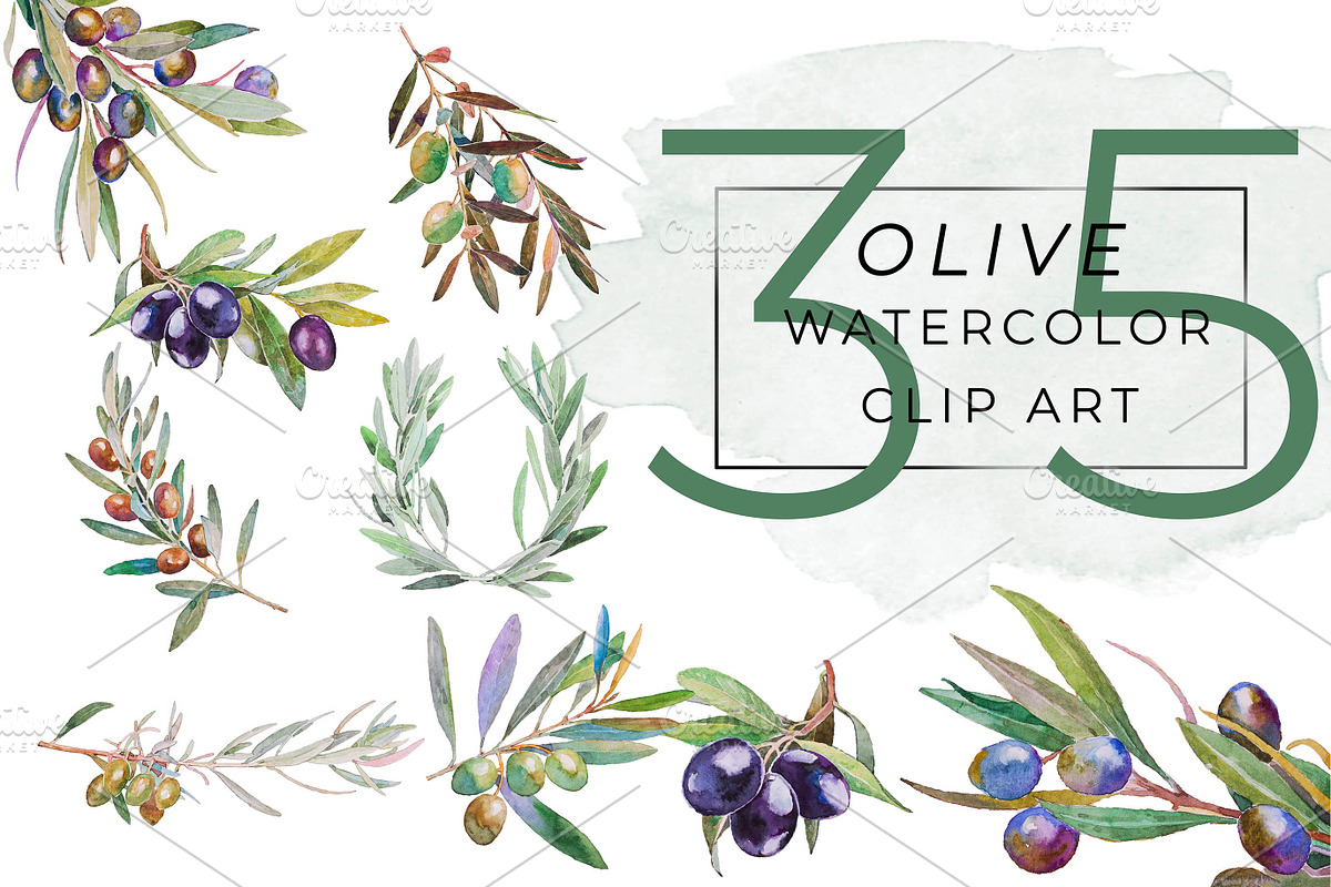 OLIVE Watercolor Clip Art, an Illustration by Alim Yakubov (Photo 1 of 6)