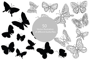 Vector illustration of butterflies
