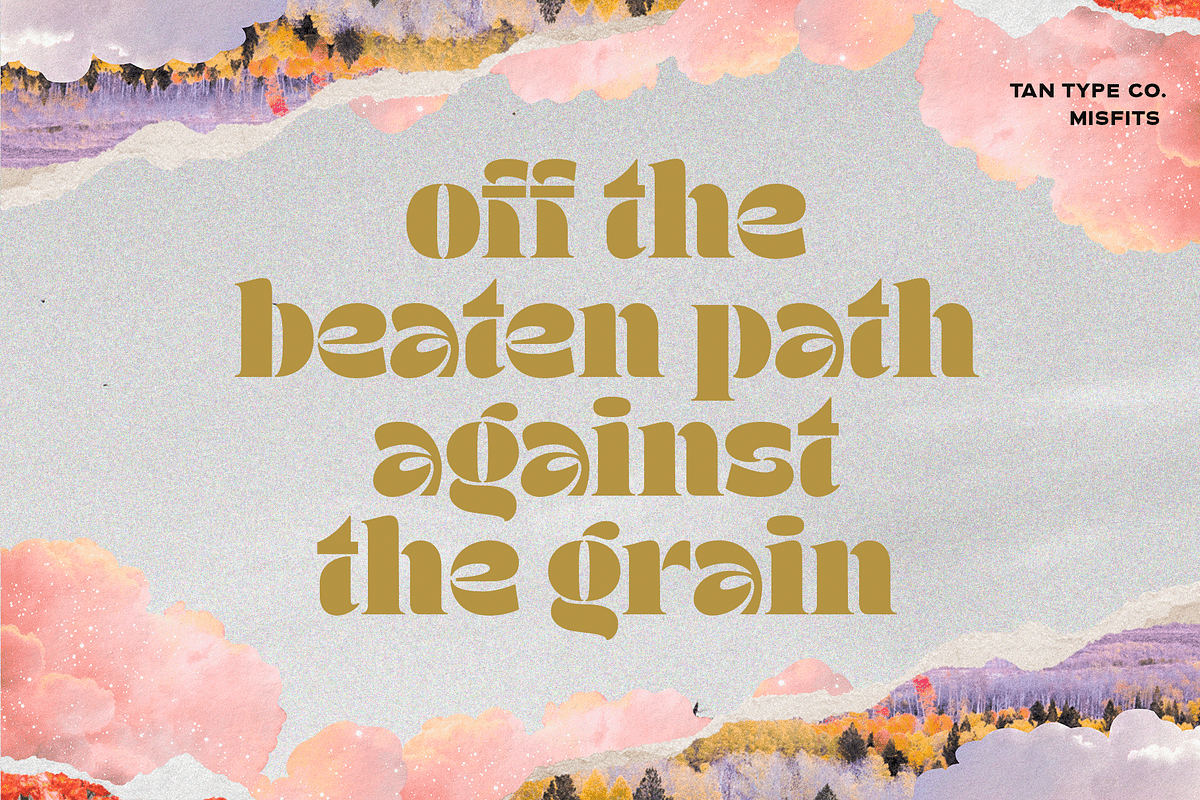 TAN - MISFITS, a Font by TanType (Photo 3 of 15)