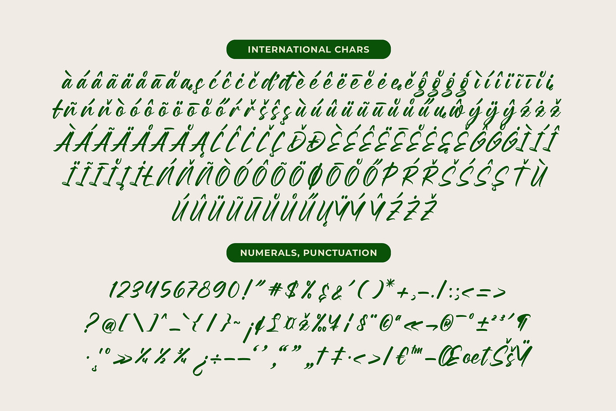 Birthday Shottera Bold Handwritten, a Script Font by Letterena Studios Script (Photo 19 of 20)