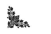 Floral Corner Ornament Vector Bundle, an Illustration by Designs_River (Thumbnail 35 of 51)