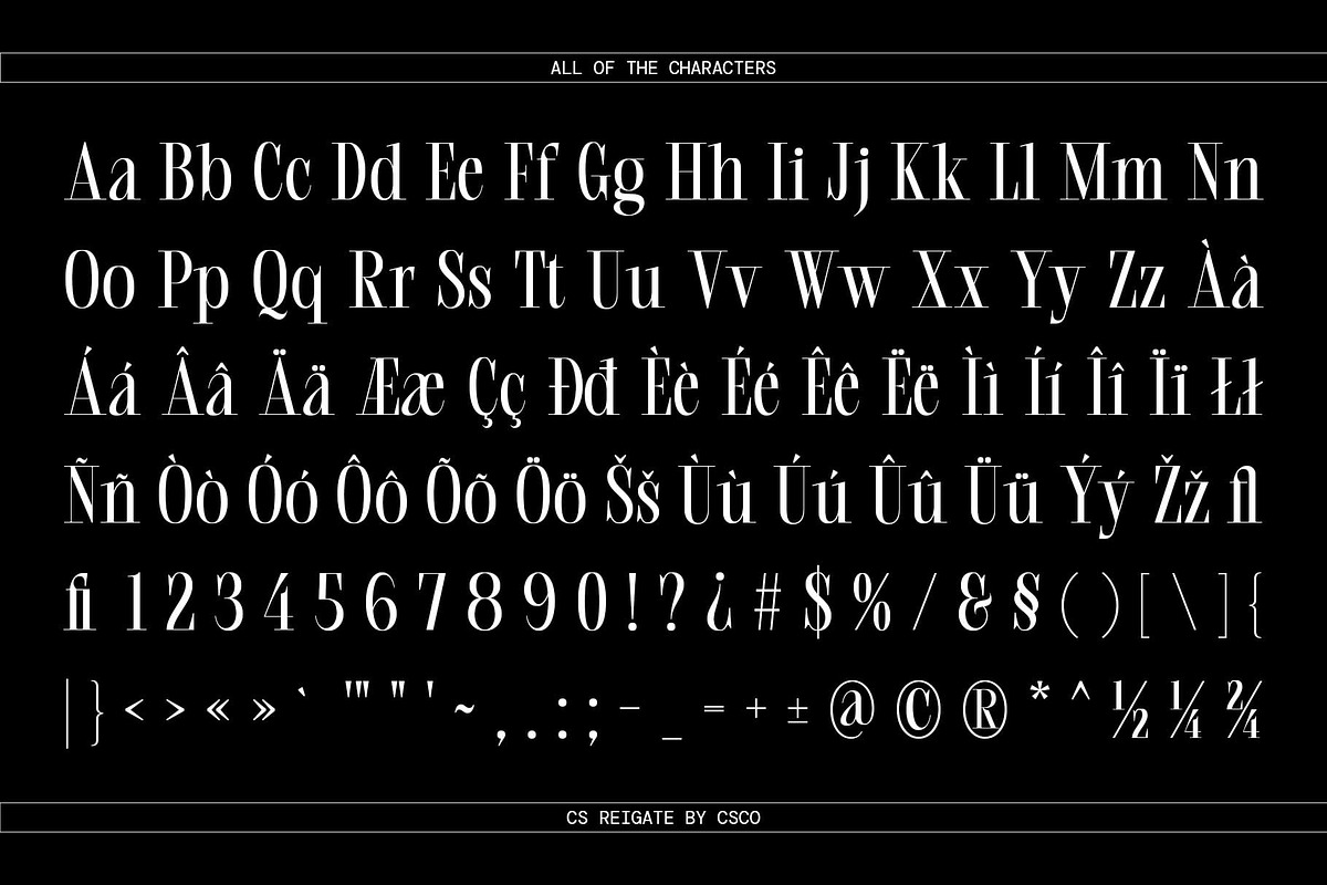 CS Reigate – Classic Font, a Serif Font by Craft Supply Co. (Photo 8 of 8)
