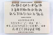 Homepage | Script Font, a Script Font by Scratchones (Thumbnail 3 of 8)