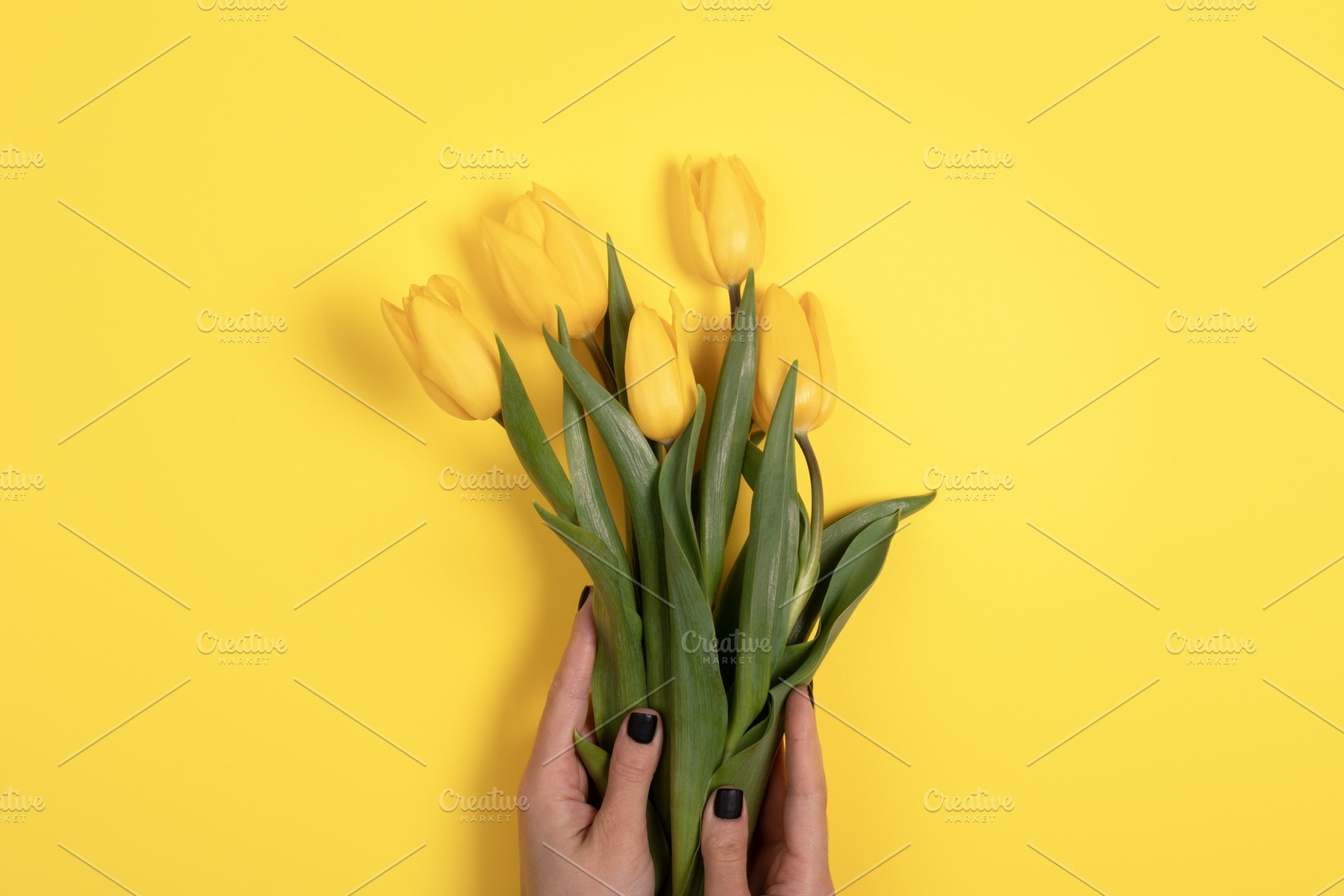 Hand holding fresh yellow tulips against a bright yellow backgro, a Holiday Photo by Ales Munt