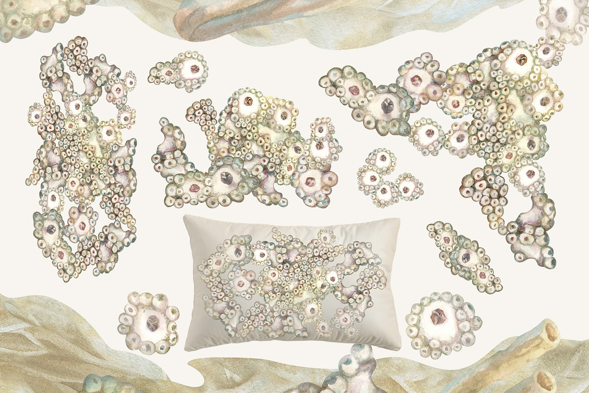 Calm fish watercolor clipart, an Animal Illustration by EL_SUHOVA (Photo 7 of 13)