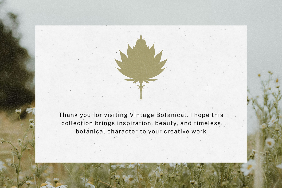 Vintage Botanical: 100 Illustrations, an Object Illustration by Veyla (Photo 15 of 15)