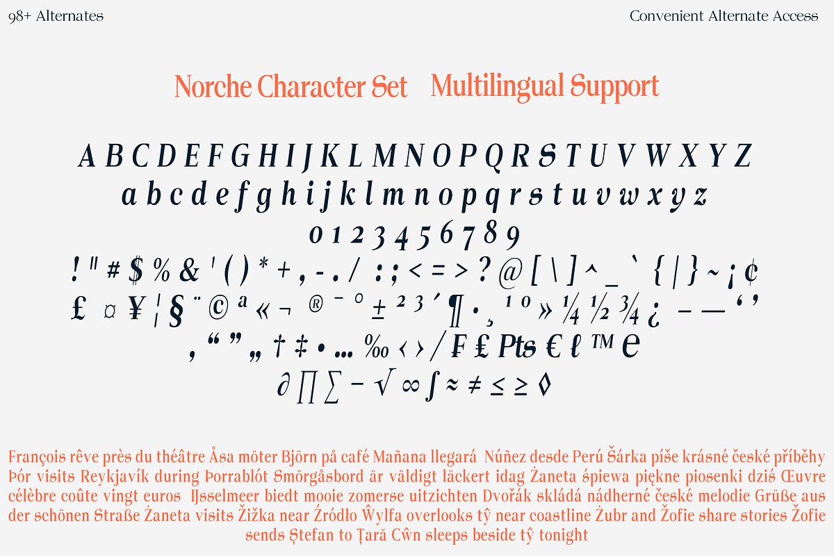 Norche - Serif Family, a Serif Font by Dora Typefoundry (Photo 8 of 10)