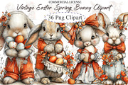 Vintage Easter Spring Bunny Clipart, an Illustration by designcity5 (Thumbnail 1 of 5)