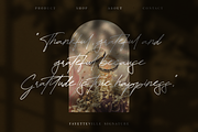 Fayetteville Signature Business Font, a Script Font by KennedyStudio (Thumbnail 2 of 11)