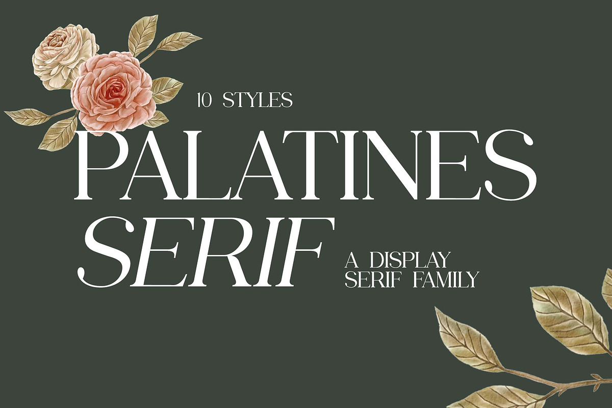Palatines Serif Display Family Font, a Serif Font by UICreative (Photo 1 of 13)