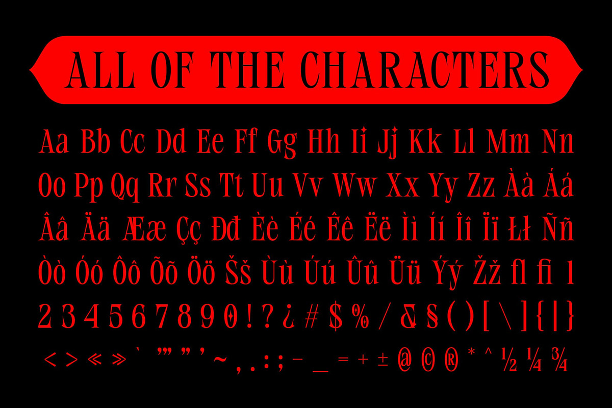 CS Merisa – Classic Font, a Serif Font by Craft Supply Co. (Photo 8 of 8)