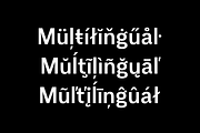 Eirene Sans - Type family, a Sans Serif Font by Tomas Castiglioni (Thumbnail 4 of 20)