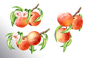 Honey Peaches. Original Watercolor, a Food Illustration by Daria Ustiugova (Thumbnail 11 of 21)
