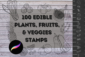 ProCreate Fruit & Veggies Stamps