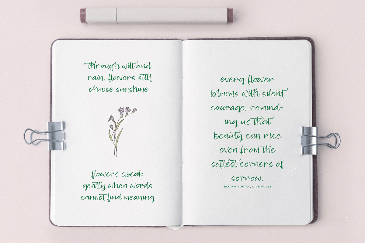 Blooming Harvest Modern Handwritten, a Script Font by stylishtype.co (Photo 5 of 15)
