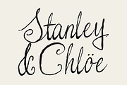 Wilfred Pearl Cursive Script, a Script Font by Viswell (Thumbnail 2 of 10)