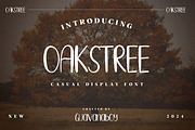 OAKSTREE - Casual Brush Display Font, a Script Font by Guavanaboy (Thumbnail 1 of 7)