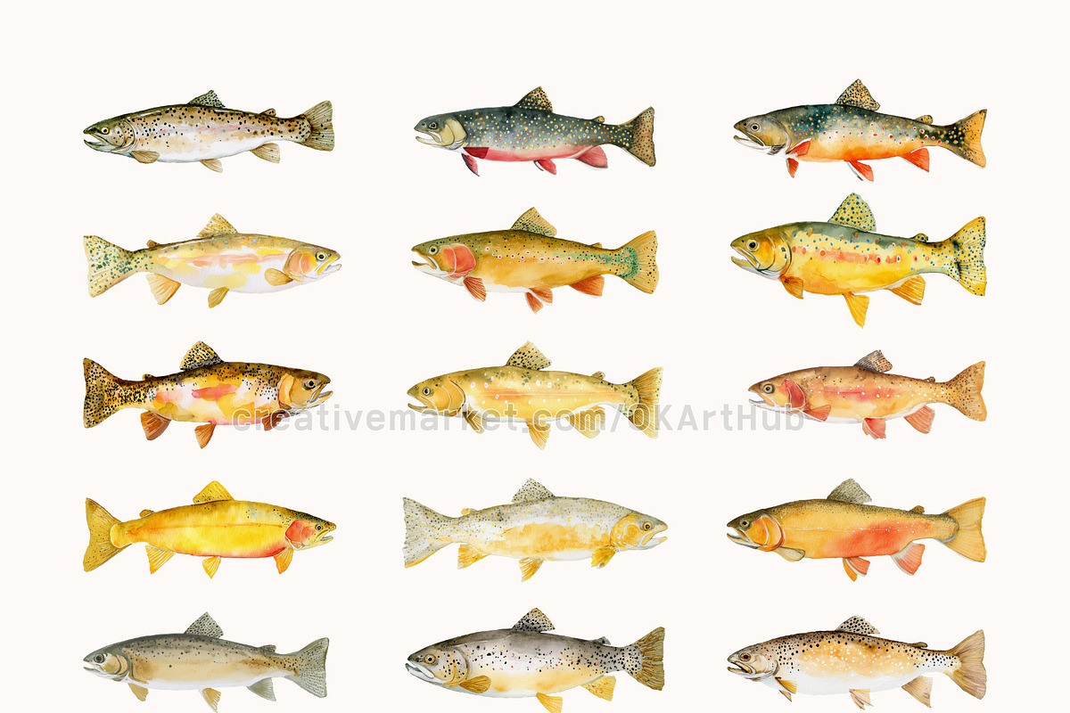 Watercolor Trout Fish Clipart, a Decorative Illustration by OKArtHub (Photo 5 of 8)