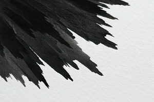 Abstract black ink splash on white paper, an Abstract Photo by AlyaAnd