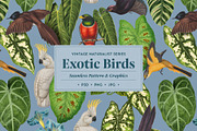 Exotic Birds - Vintage Pattern, a Pattern Graphic by Graphic Goods (Thumbnail 1 of 9)