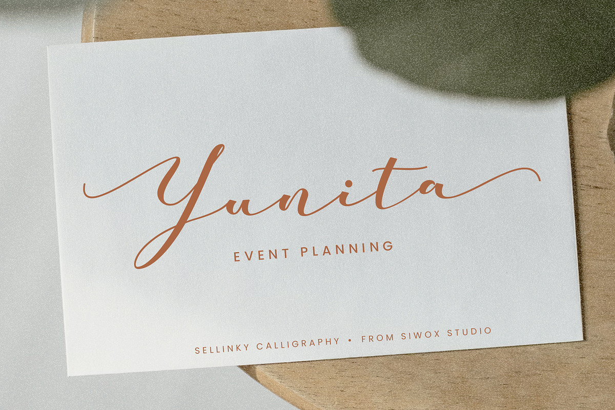 Sellinky - modern calligraphy script, a Script Font by Siwox Studios (Photo 2 of 8)