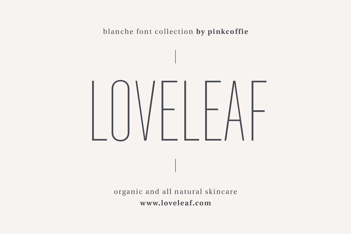 Blanche | Modern Sans Serif + Logos, a Sans Serif Font by Pink Coffie (Photo 11 of 11)