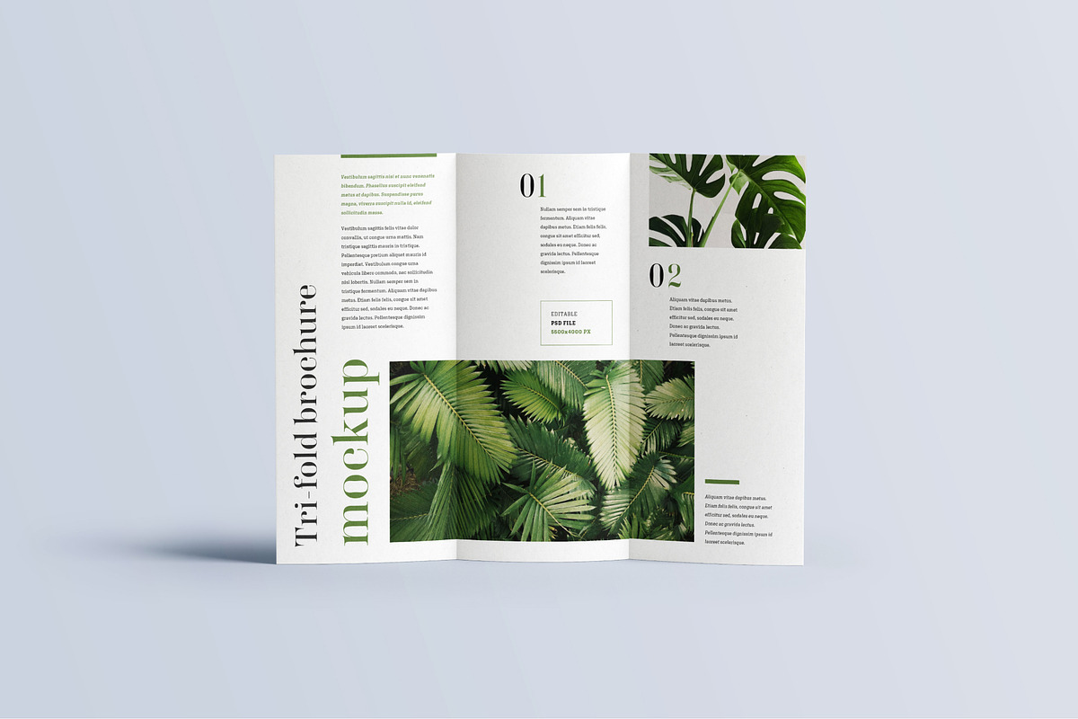 Trifold Brochure Mockup, a Print Template by mockupatelier (Photo 14 of 15)