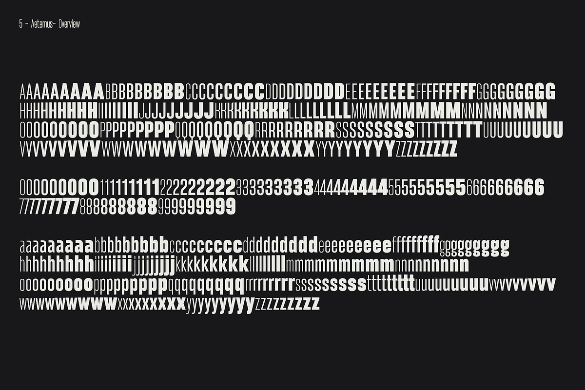 Aeternus Variable, a Sans Serif Font by Unio Designs (Photo 4 of 12)