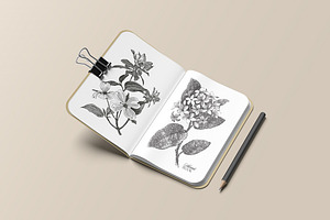sketchbook mockup