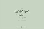 Classy Taylor Typeface, a Serif Font by CCS Type (Thumbnail 11 of 24)