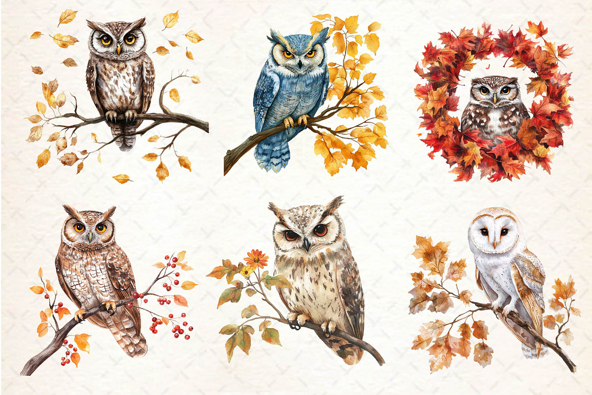 Autumn Owl Clipart Sublimation, an Illustration by Dream Creation (Photo 6 of 6)