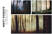 Misty Forests, a Nature Photo by Digital Art Creations (Thumbnail 5 of 5)