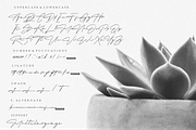 Ashgabat Natural Signature, a Script Font by Glyphstyle (Thumbnail 7 of 12)