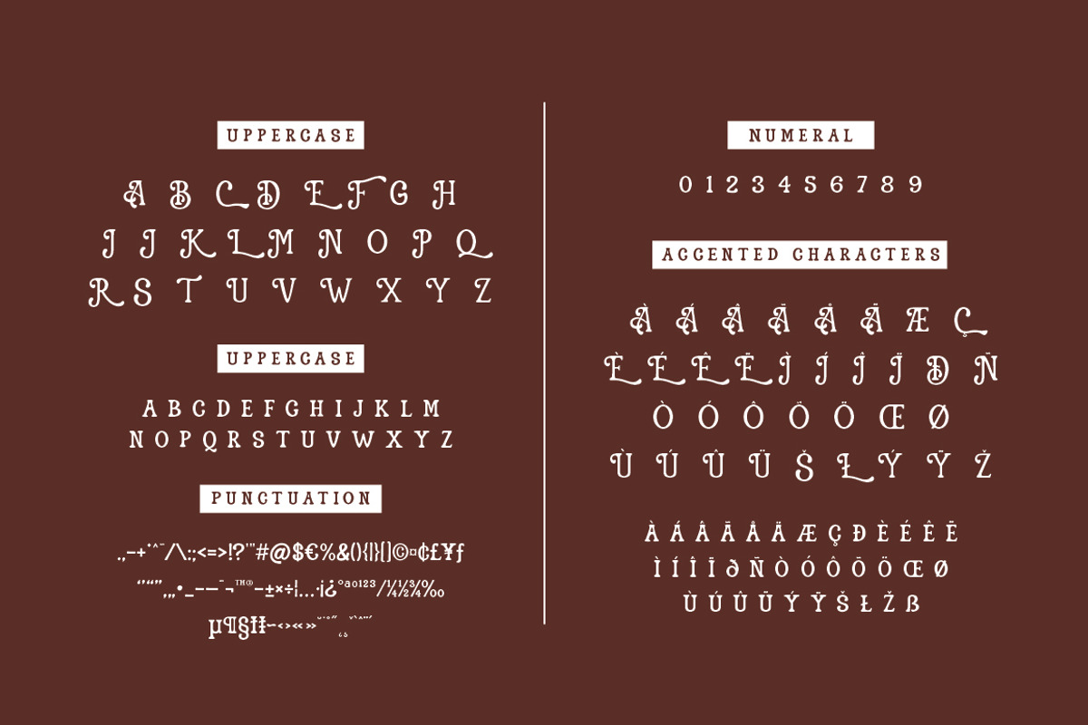Alendro - Vintage Display Font, a Serif Font by Typebae (Photo 8 of 8)