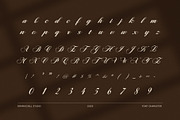 Melysa Malgin Script Font, a Script Font by Graphicxell (Thumbnail 7 of 8)