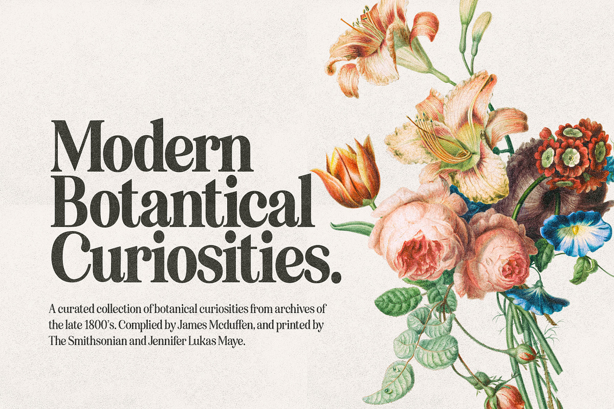 Eighties Comeback Serif (70 fonts), a Serif Font by Nicky Laatz (Photo 39 of 47)