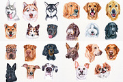 100+ Watercolor Dog Breeds - UPDATE, an Animal Illustration by ArtbyHien (Thumbnail 5 of 9)