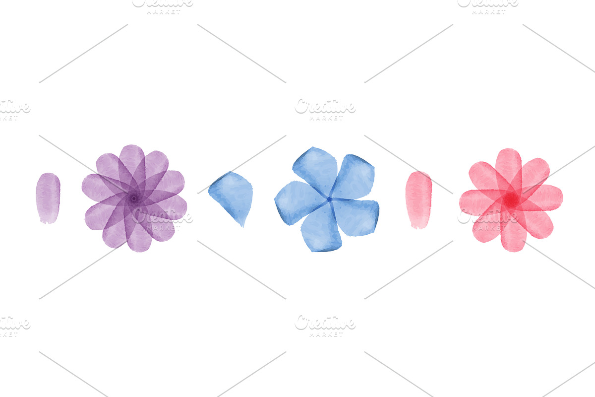 Soft watercolor floral collection, an Object Illustration by okskukuruza