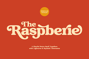 Raspberie - Retro Modern Font, a Serif Font by Variatype