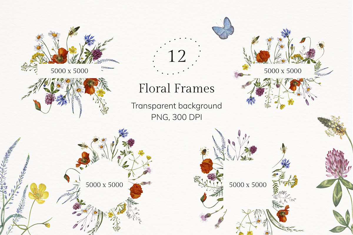 Meadow Botany. Watercolor Floral Set, a Healthcare Illustration by JulShuman (Photo 3 of 11)