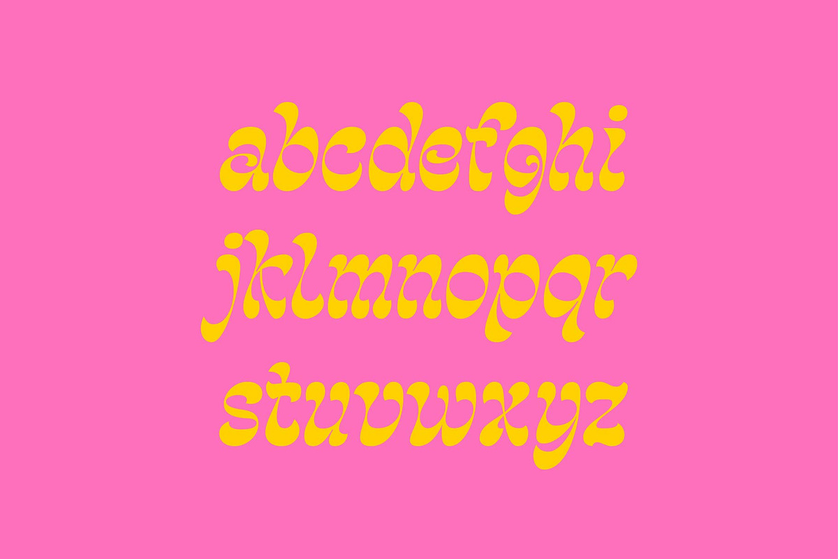 Luizane Groovy Font, a Font by Panatype™ Studio (Photo 5 of 10)