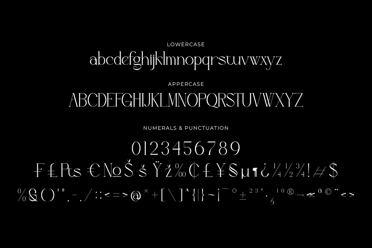 Arroyond - Modern Serif Fpnt, a Serif Font by Rishsketch (Photo 13 of 15)