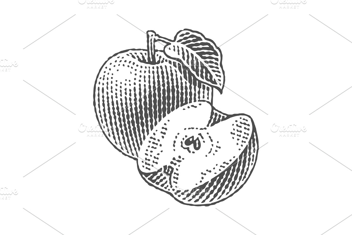 Green apple and apple tree leaf, a Food Illustration by Irina Trusova (Photo 3 of 3)