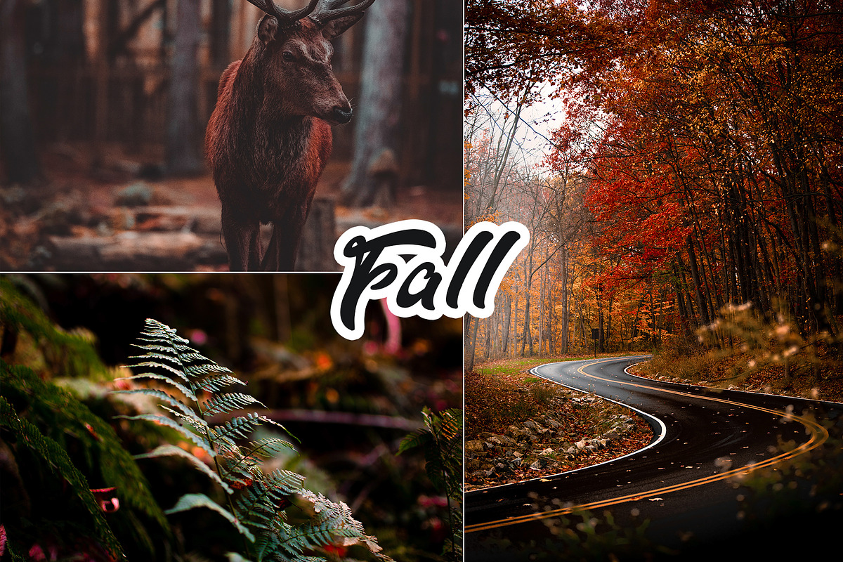 Fall Colors Lightroom Preset, an Action Add-On by Viktor Gjokaj (Photo 1 of 2)