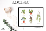 House Plants Collection, a Graphic by SmallHouseBigPony (Thumbnail 3 of 18)